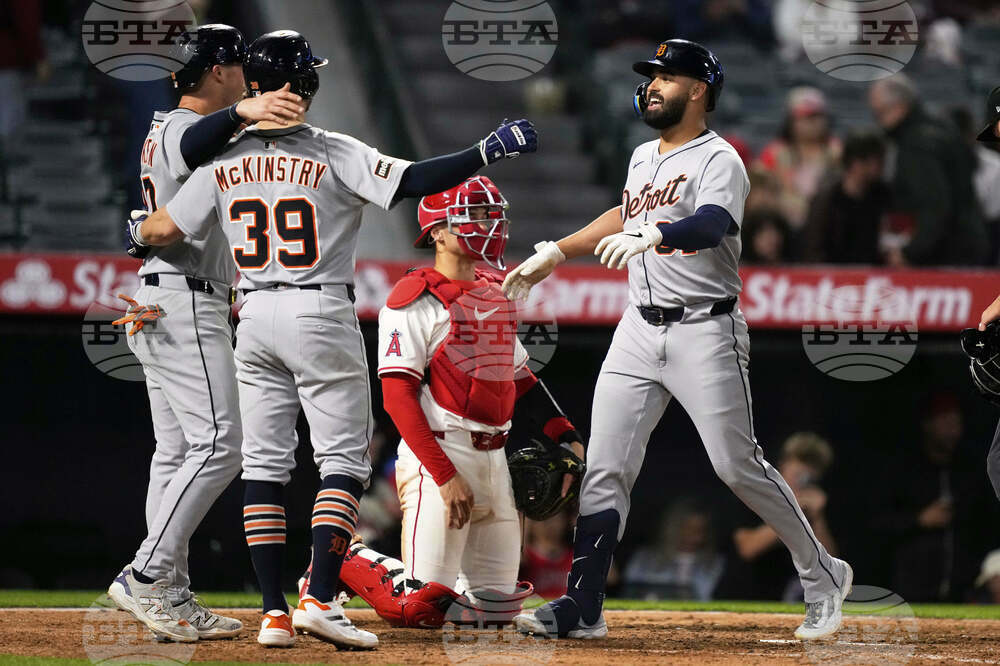 Tigers Angels Baseball