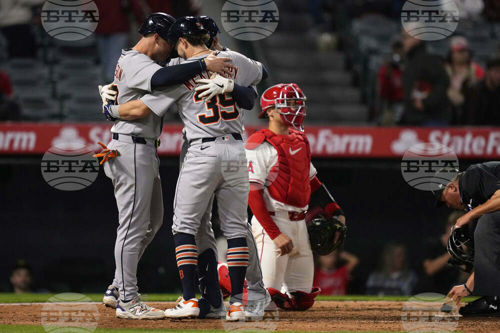 Tigers Angels Baseball