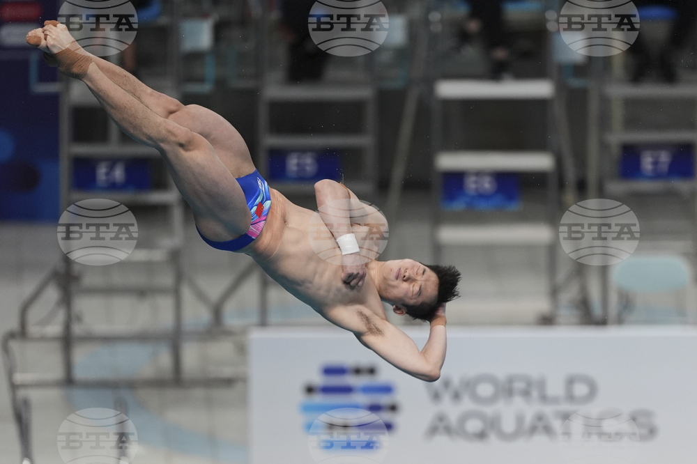 China Diving World Cup