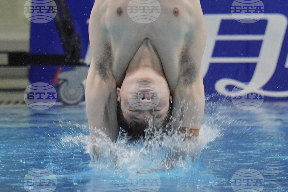 China Diving World Cup