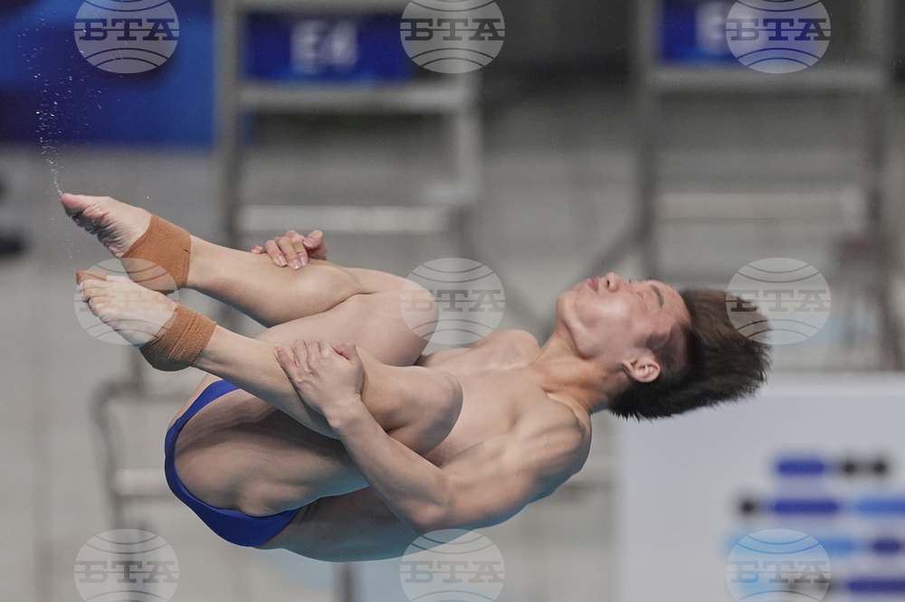 China Diving World Cup