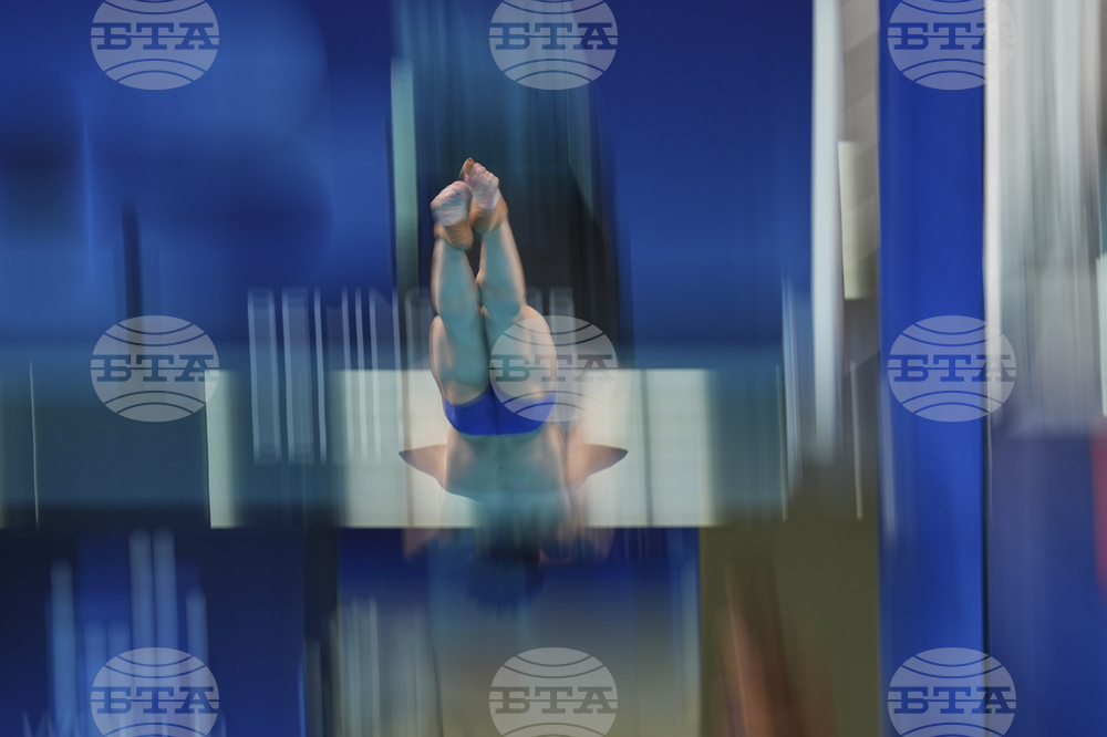China Diving World Cup