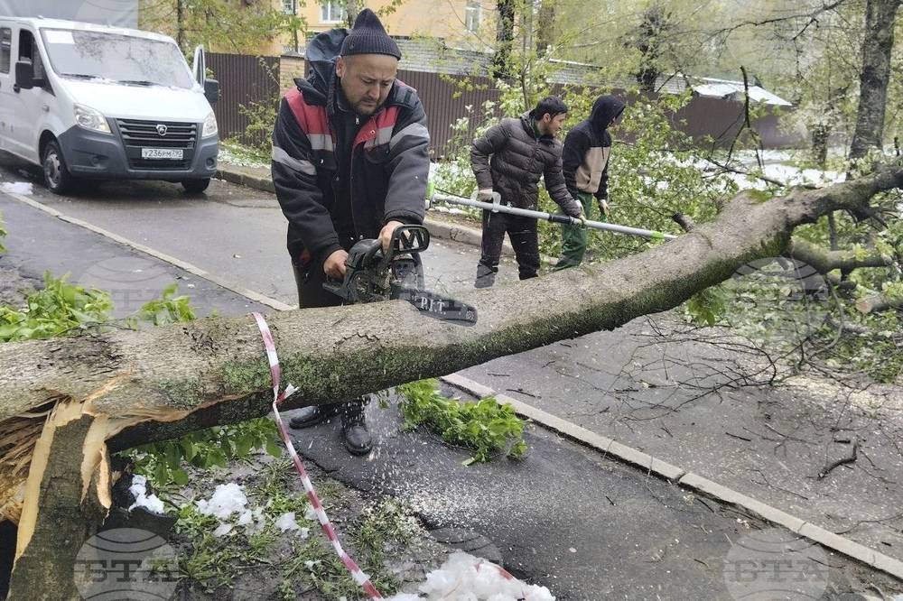 Russia Snowfall