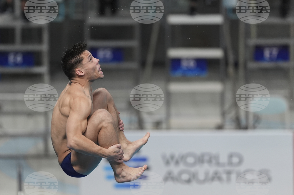China Diving World Cup