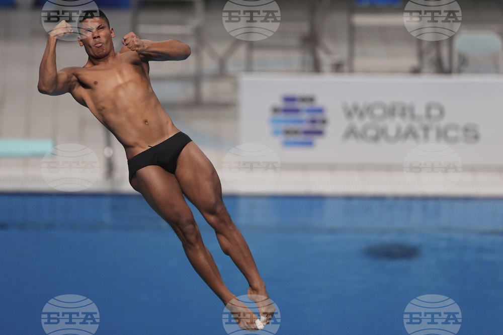 China Diving World Cup