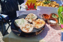 Нова Загора - Празник на самардалата