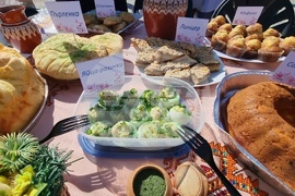 Нова Загора - Празник на самардалата