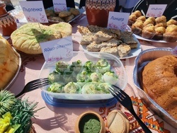 Нова Загора - Празник на самардалата