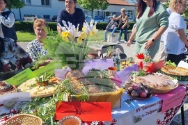 Нова Загора - Празник на самардалата