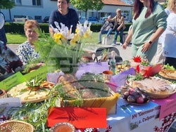 Нова Загора - Празник на самардалата