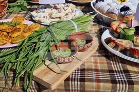 Нова Загора - Празник на самардалата