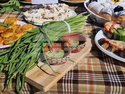 Нова Загора - Празник на самардалата