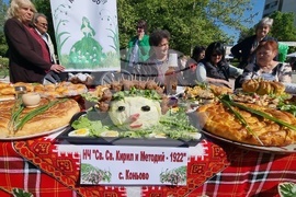 Нова Загора - Празник на самардалата