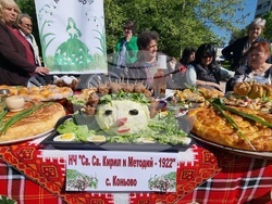 Нова Загора - Празник на самардалата