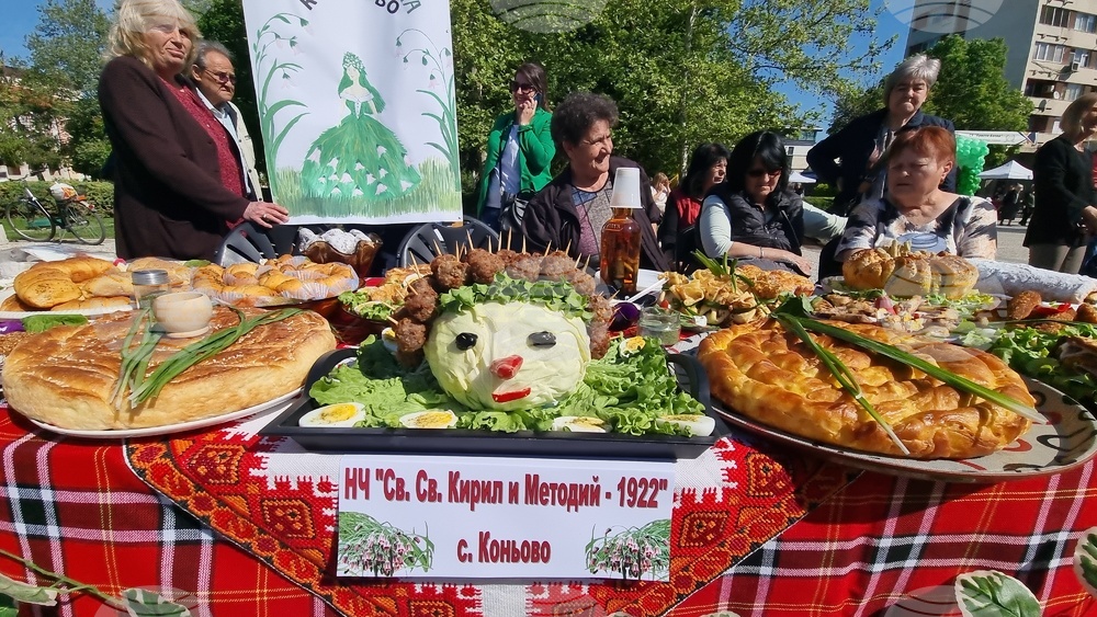 Нова Загора - Празник на самардалата