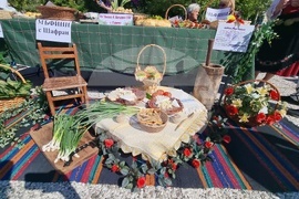 Нова Загора - Празник на самардалата