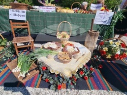 Нова Загора - Празник на самардалата