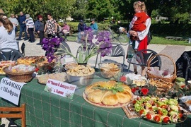 Нова Загора - Празник на самардалата