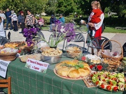 Нова Загора - Празник на самардалата