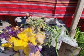 Нова Загора - Празник на самардалата