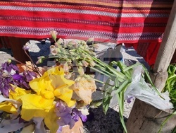 Нова Загора - Празник на самардалата