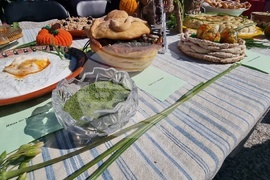 Нова Загора - Празник на самардалата