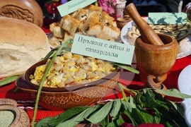 Нова Загора - Празник на самардалата