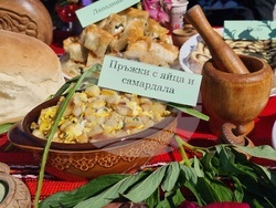 Нова Загора - Празник на самардалата