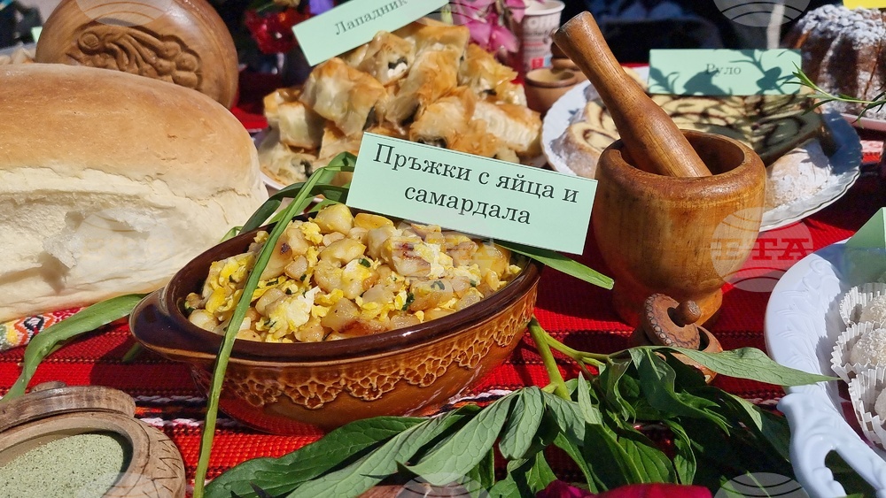 Нова Загора - Празник на самардалата