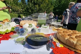 Нова Загора - Празник на самардалата