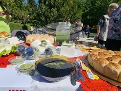 Нова Загора - Празник на самардалата