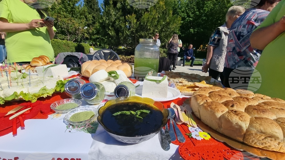 Нова Загора - Празник на самардалата