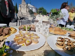 Нова Загора - Празник на самардалата