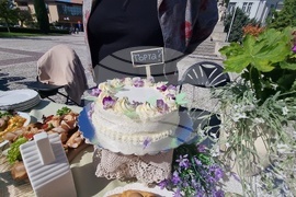 Нова Загора - Празник на самардалата