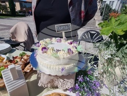 Нова Загора - Празник на самардалата