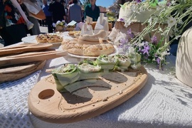 Нова Загора - Празник на самардалата