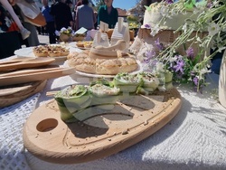 Нова Загора - Празник на самардалата