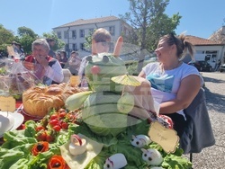 Нова Загора - Празник на самардалата