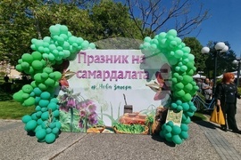 Нова Загора - Празник на самардалата
