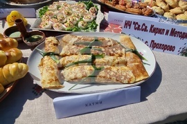 Нова Загора - Празник на самардалата