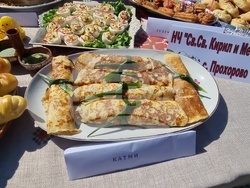 Нова Загора - Празник на самардалата