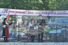 Нова Загора - Празник на самардалата