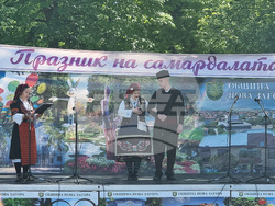 Нова Загора - Празник на самардалата
