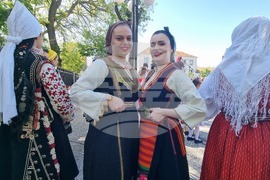 Нова Загора - Празник на самардалата