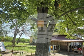 Село Драгоданово - Народно читалище „Изгрев 1928“