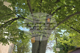 Село Драгоданово - Народно читалище „Изгрев 1928“