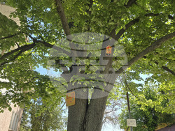 Село Драгоданово - Народно читалище „Изгрев 1928“