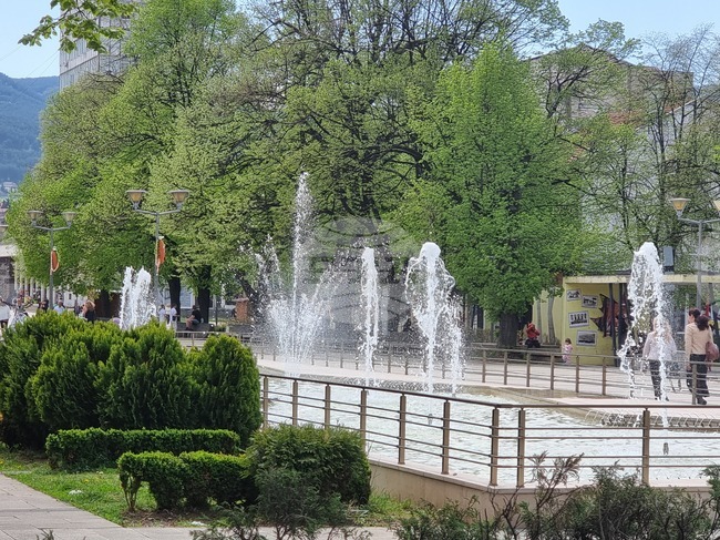 Тази вечер в Перник ще се извърши поетапна масова обработка срещу кърлежи и комари