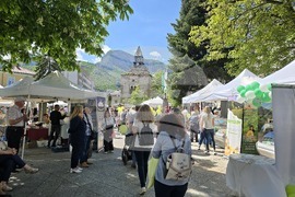 Враца - Българско сирене и млечни продукти - фестивал