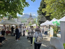 Враца - Българско сирене и млечни продукти - фестивал